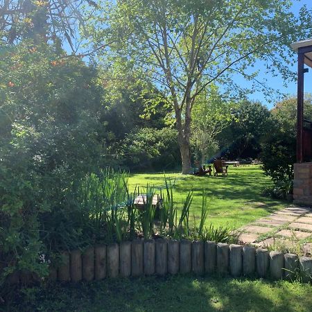 Forest Glen Bed and Breakfast Knysna Exteriör bild